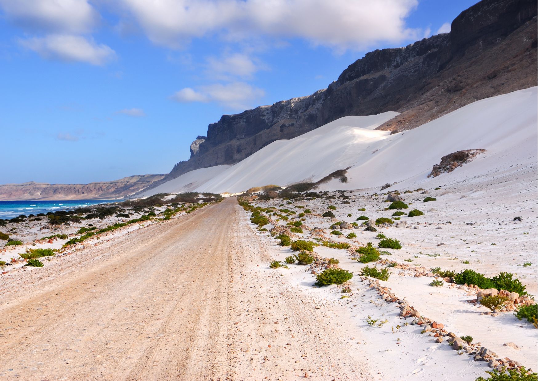 viaggio di gruppo socotra
